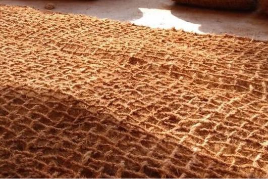 Sabut Kelapa untuk Rehabilitasi Mangrove: Solusi Alami Ramah Lingkungan