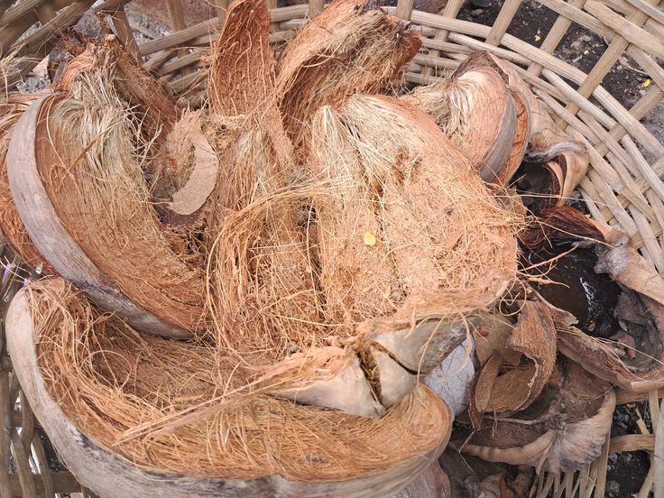 Biofilter Alami dari Limbah Sabut Kelapa: Solusi Ramah Lingkungan