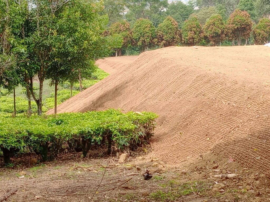Efektivitas Cocomesh dalam Pertanian Ramah Lingkungan