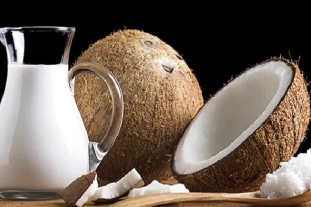 Cara Usaha Santan Kelapa yang Tepat