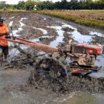 Peluang Usaha Jasa Bajak Sawah