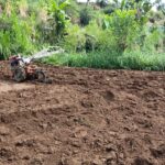 Proses pembajakan sawah jadi mudah